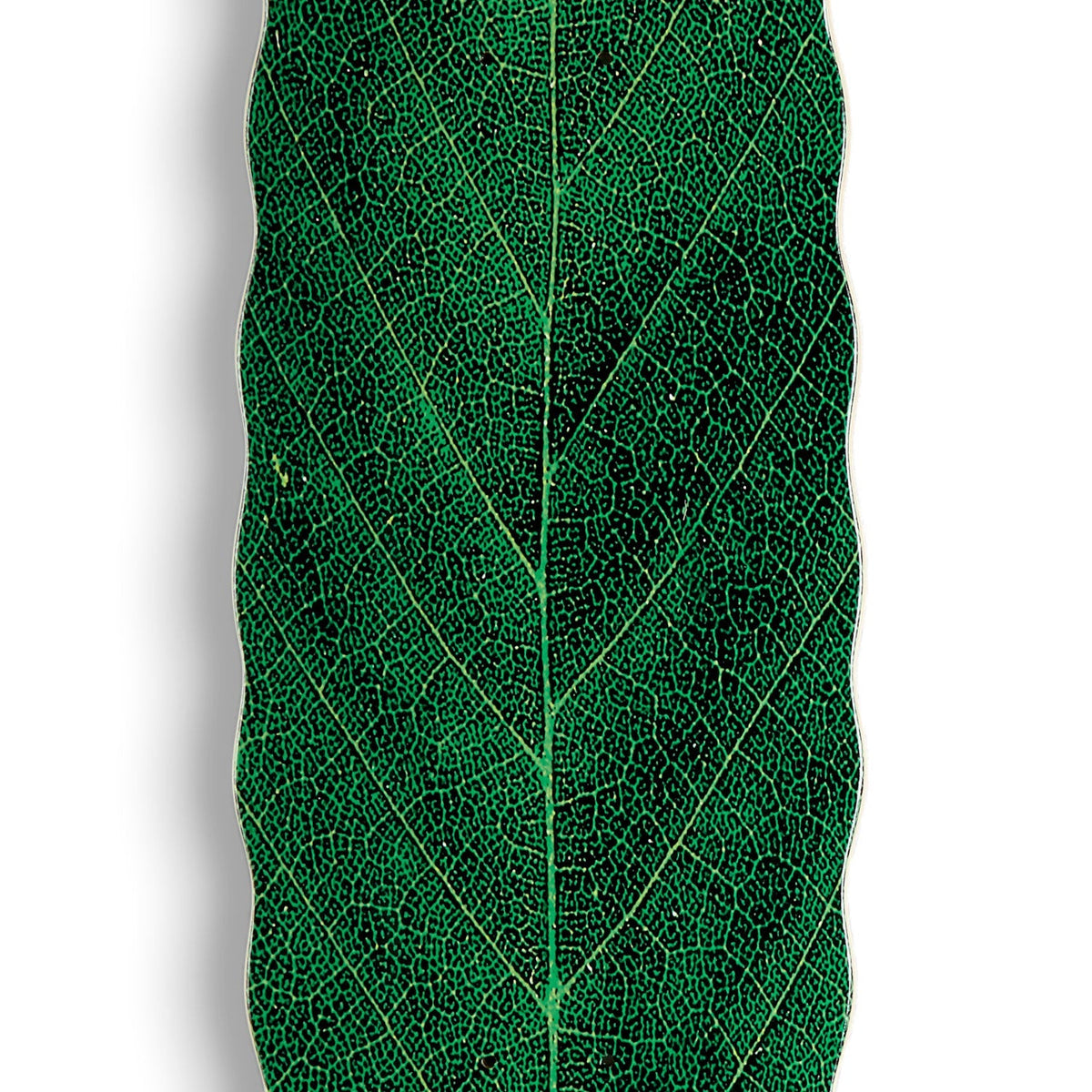 Habitat Leafline Egg Skateboard Deck - Green - 9.00"