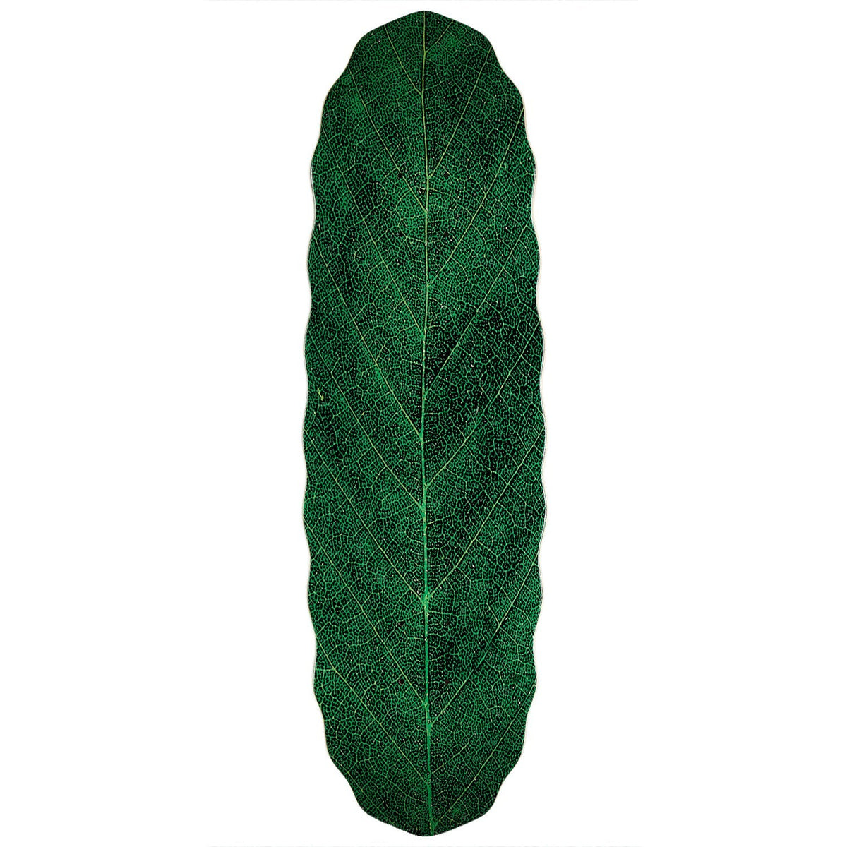 Habitat Leafline Egg Skateboard Deck - Green - 9.00"