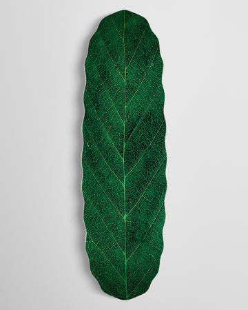 Habitat Leafline Egg Skateboard Deck - Green - 9.00