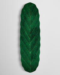 Habitat Leafline Egg Skateboard Deck - Green - 9.00