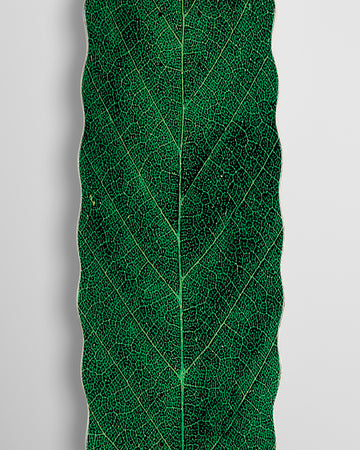 Habitat Leafline Egg Skateboard Deck - Green - 9.00
