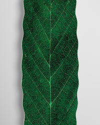 Habitat Leafline Egg Skateboard Deck - Green - 9.00