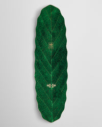 Habitat Leafline Egg Skateboard Deck - Green - 9.00