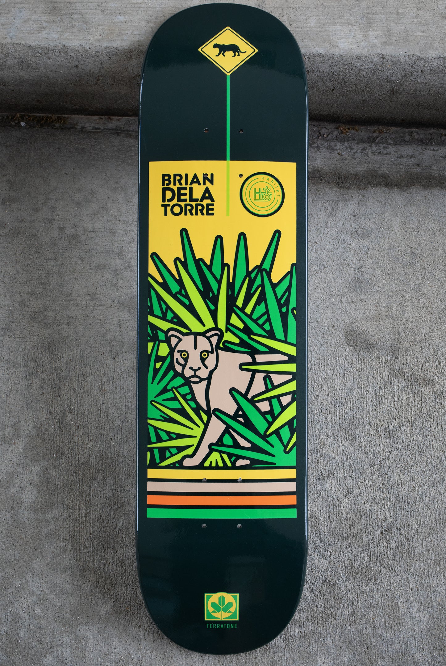 Delatorre 'Panther Crossing' [8"]