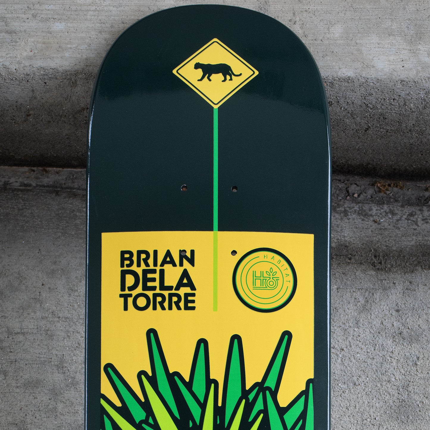 Delatorre 'Panther Crossing' [8"]