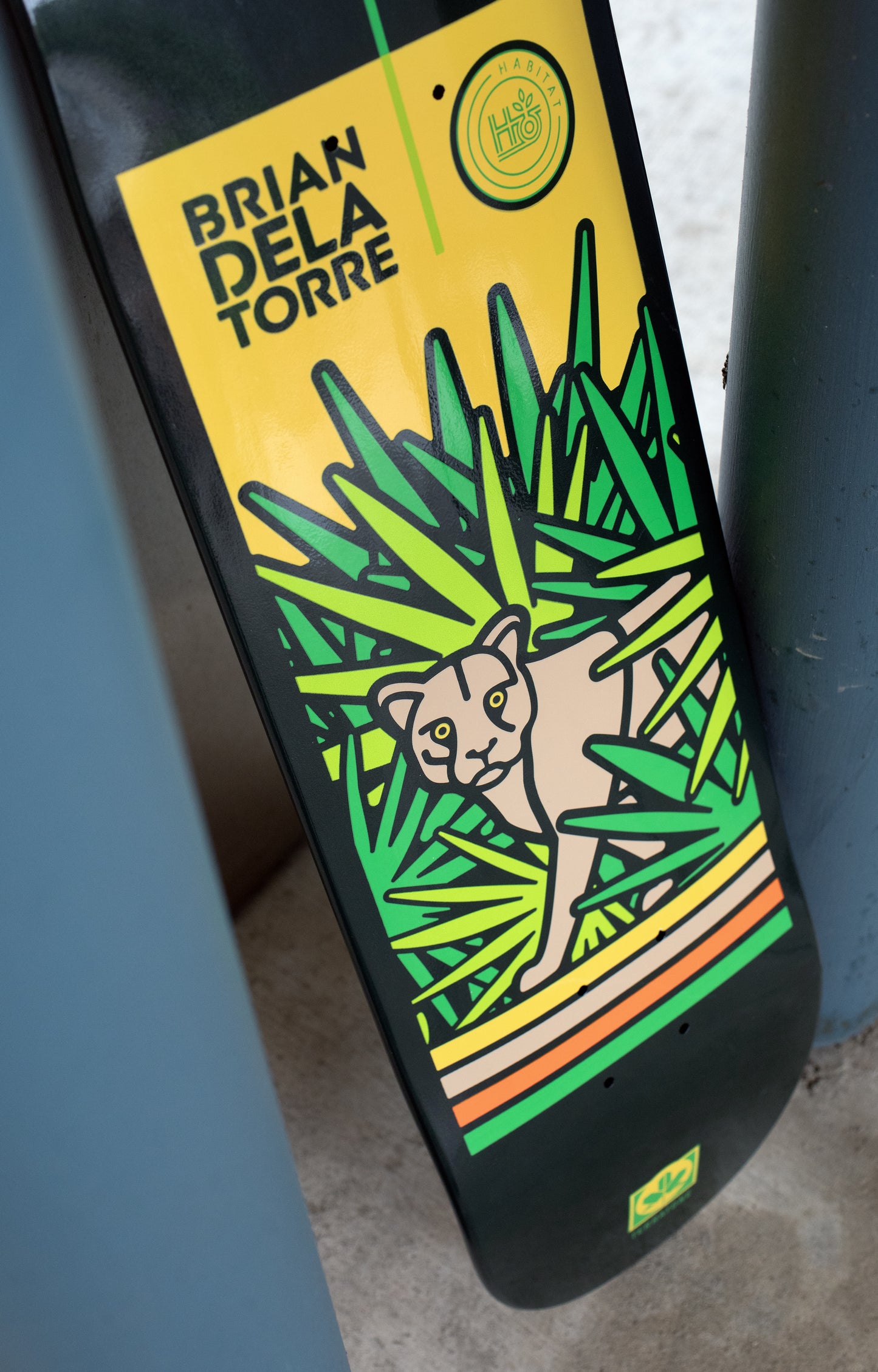 Delatorre 'Panther Crossing' [8"]